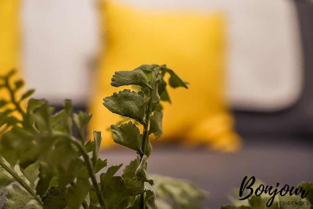 Spacious 2Br-1Ba - Grassmarket - Free Parking By Bonjour Residences Эдинбург Экстерьер фото